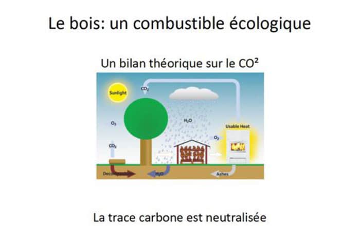 LE BOIS: UN COMBUSTIBLE ECOLOGIQUE DANS VOTRE TULIKIVI